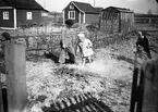 Reportage för rbetarbladet. Koloniträdgården. Maj 1939