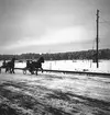 År 1937. Gefle-Dala Travbana. Häst. Reportage för Gefle Dagblad