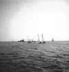 År 1938. Norrlandsregattan. Segelbåt. Reportage för Gefle Dagblad.