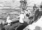 Svensk flottmanöver. År 1938. Reportage för Gefle Dagblad