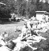 Den 23 juli 1938. Barnutflykt till Furuvik. Reportage för Gefle-Posten