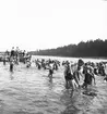 Den 23 juli 1938. Barnutflykt till Furuvik. Reportage för Gefle-Posten