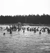 Den 23 juli 1938. Barnutflykt till Furuvik. Reportage för Gefle-Posten