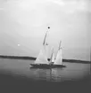 År 1938. Norrlandsregattan. Reportage för Gefle Dagblad