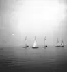 År 1938. Norrlandsregattan. Reportage för Gefle Dagblad