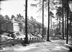 Nybygge, 1946.