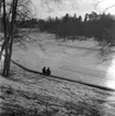 Vårreportage för Arbetarbladet, Mary F. 19 februari 1949.