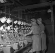 Gävle Manufaktur, Strömsbro Svanens. Interiör från fabriken. 8 april 1949.