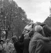 Studentexamen. 19 - 21 maj 1949. (Högre allmänna Läroverket)