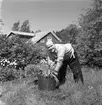 Sjuksköterskornas sommarhem. Reportage.                30 maj 1949.