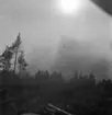 Skogsbrand Älvkarleby, Gårdskär med flera orter.       Maj 1949.