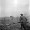 Skogsbrand Älvkarleby, Gårdskär med flera orter.       Maj 1949.