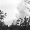 Skogsbrand Älvkarleby, Gårdskär med flera orter.       Maj 1949.