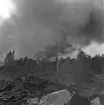 Skogsbrand Älvkarleby, Gårdskär med flera orter.       Maj 1949.