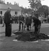 Trädplantering vid Kratte Masugn.