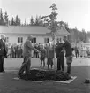 Trädplantering vid Kratte Masugn.