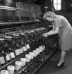 Gävle Manufaktur AB, Strömsbro. Juni 1946. På fabriken jobbade många ogifta textilarbeterskor, Några av dem bodde i den så kallade flickbyggningen. Gefle Manufaktur AB ägde Svanens väv i Strömsbro, som länge var den största fabriken i landet för tillverkning av bomullstyger och garn. Fabriken startade år 1849. Men det blev andra tider med krig, konflikter och sämre konjunkturer, då gick det sämre även för Svanens väv som tvingades lägga ned år 1960.