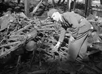 Brand på militäranlägningen I 14. 16 augusti 1947. Reportage för Arbetarbladet.