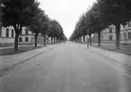 Staketgatan mot Öster. År 1950