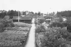 Koloniträdgårdsföreningen firar 25 år. Föreningen bildades i Gävle 1905 och fick arrendera Vreten 171 i Sörby. Fick bygga 