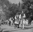 Furuviksparken en midsommar