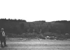 Stjärnsund. Korsnäs AB. Den 23 augusti 1967