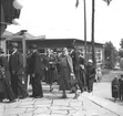 Folkparken. 100 -årsjubileum. 1855-1955. Korsnäs AB.