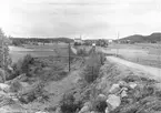 Kopparfors Bolag. Hammarby, Norrsundet och Åmot.  Den 28 juli 1944. Kopparfors grundades 1854 under namnet Kopparbergs och Hofors Sågverksbolag. Aktiebolag 1855 och Kopparfors AB från 1937.