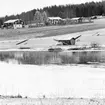 Jordbruksfastighet. Skogsvårdsstyrelsen. År 1955