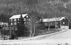 Jordbruksfastighet. Skogsvårdsstyrelsen. År 1955