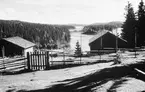 Jordbruksfastighet. Skogsvårdsstyrelsen. År 1955