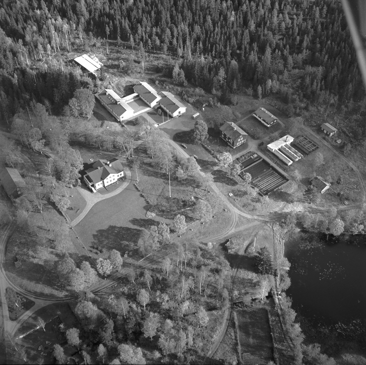 Kratte masugn från ovan. Skogsbrukskola. År 1956