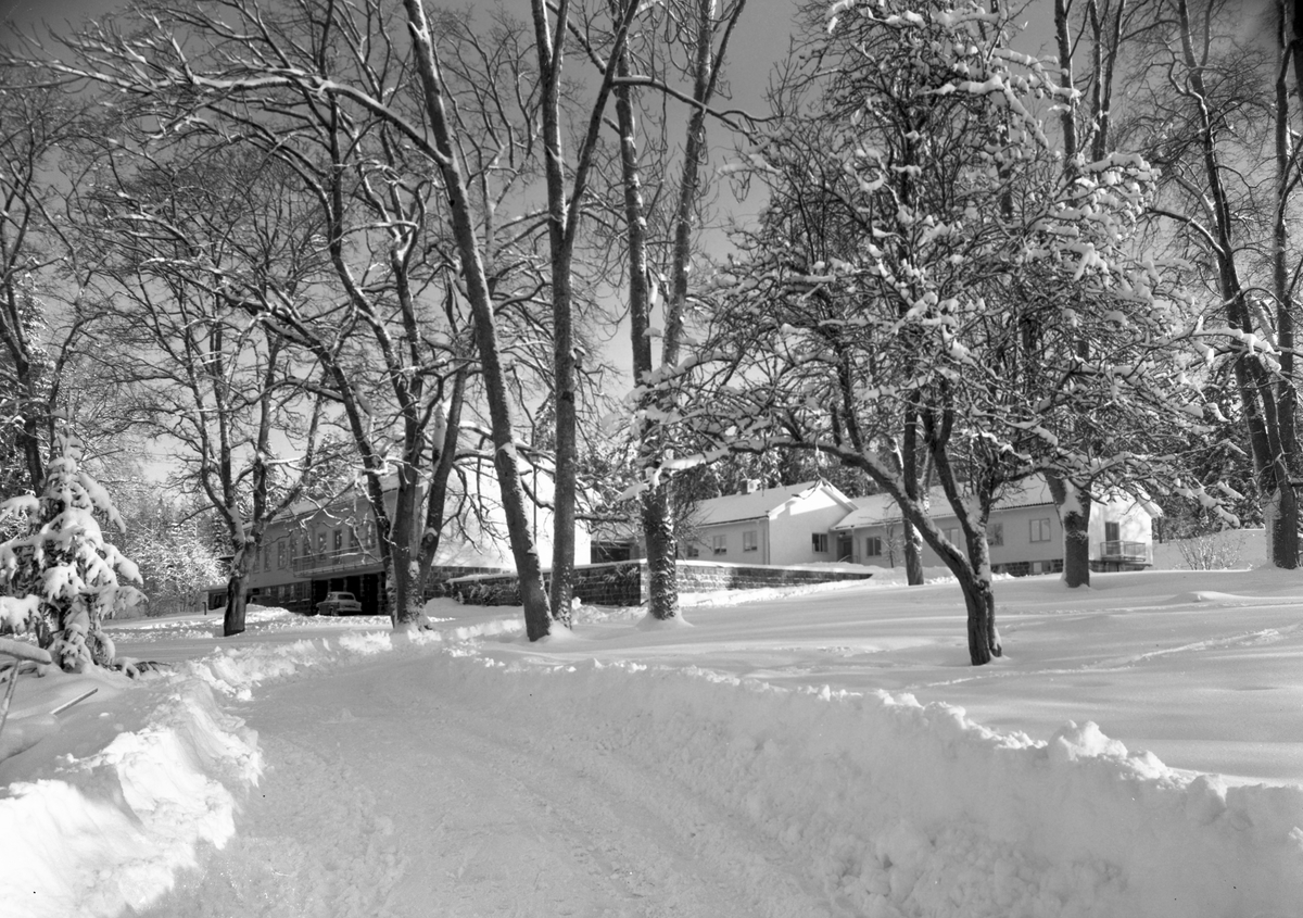 Kratte masugn, skogsbruksskola på vintern. År 1956
