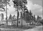 Kornäs Sågverk AB. Radhus i Karskär. Juni 1946.