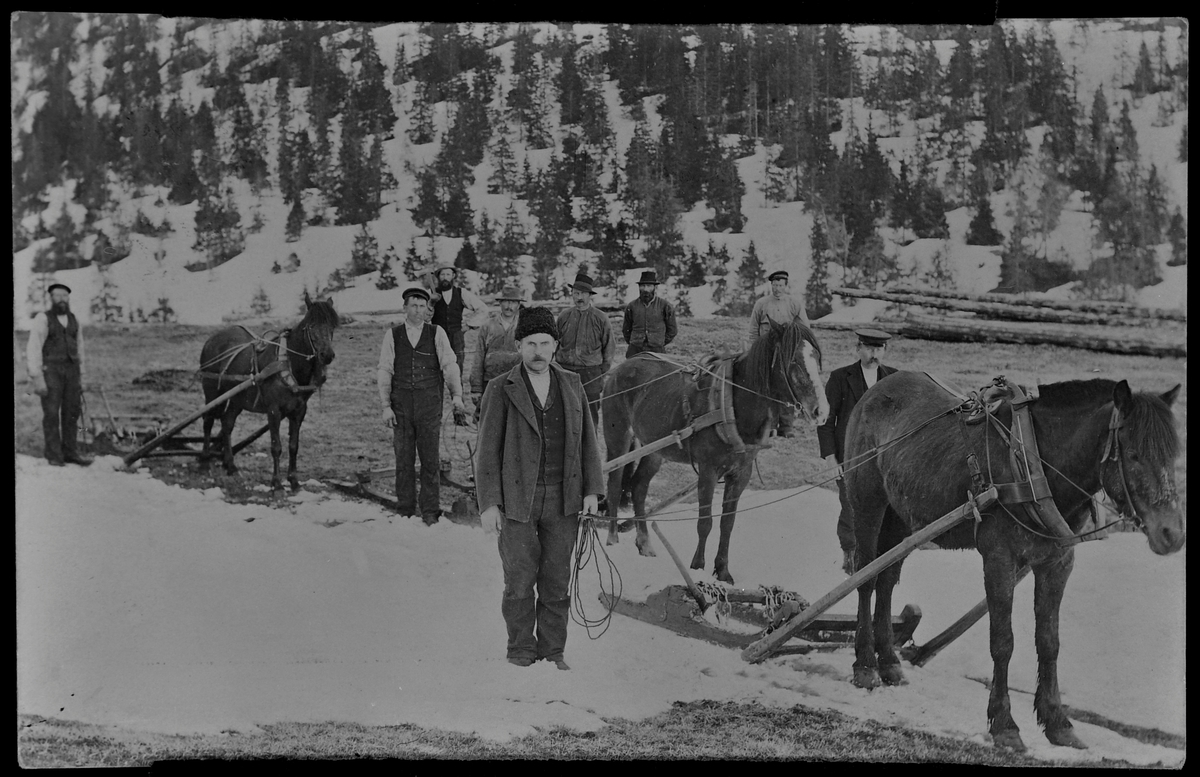 Tømmerkjørere med hest i Norddalen ca. 1905