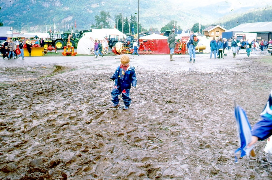 Regn og søylehav