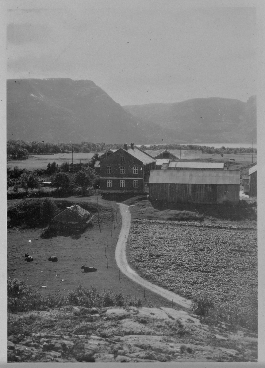 Gårdsbruk på Øyan i Åfjord ca. 1950
