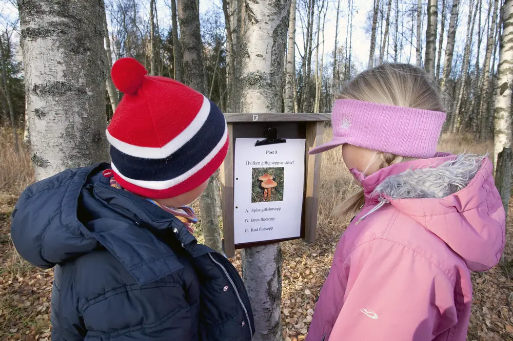 Foto av to barn som løser et natursti spørsmål