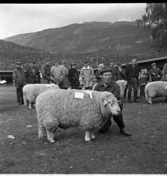 Mønstring av bøkår.