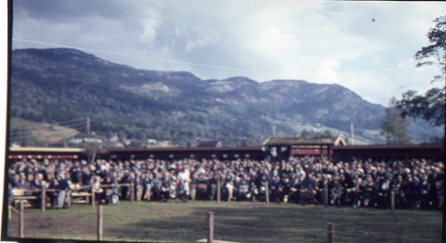 Publikum rundt dommarringen.