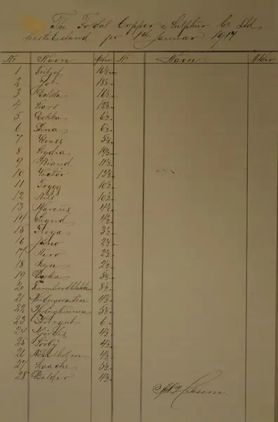 gammelt dokument folldal verk