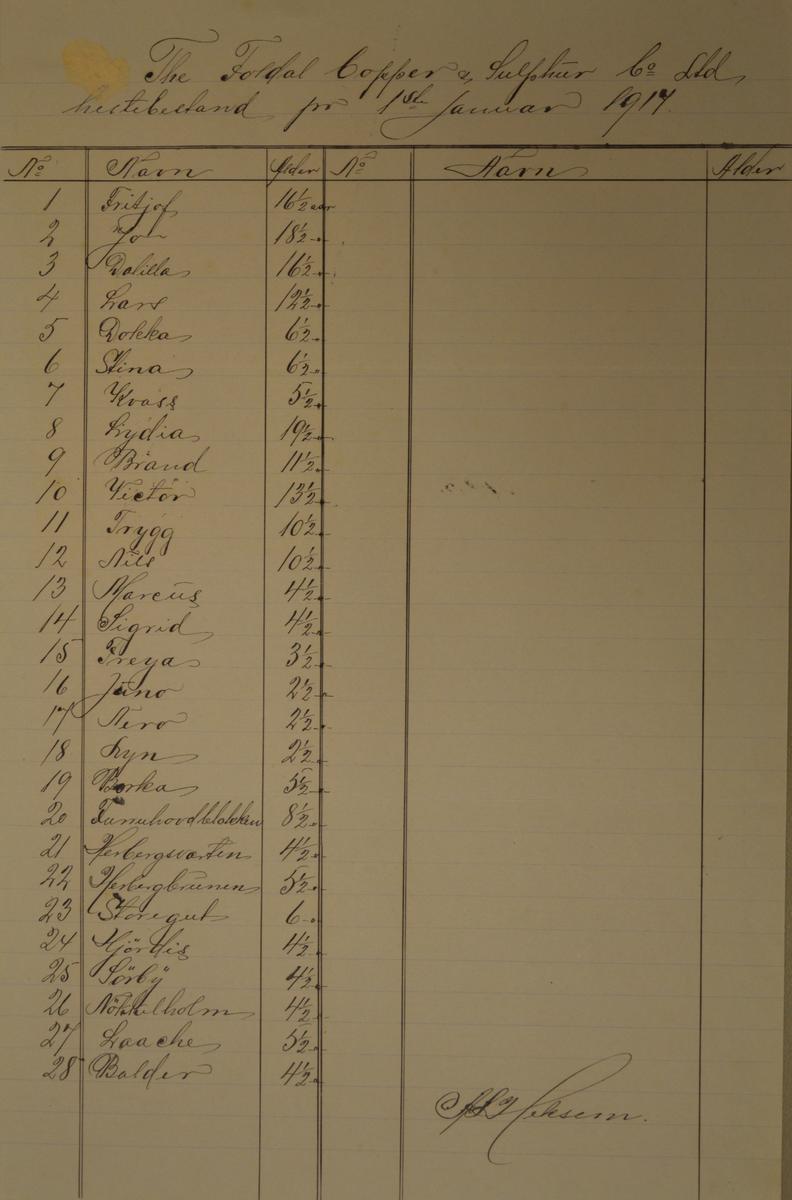 gammelt dokument folldal verk