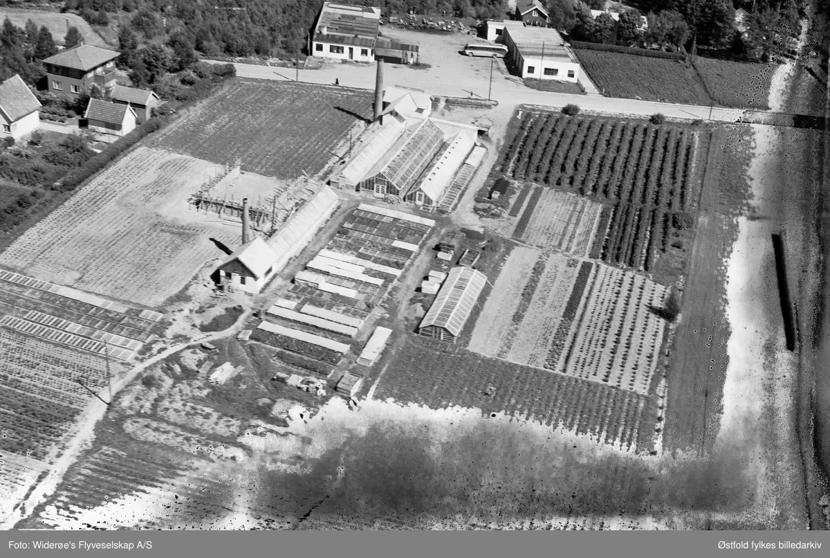 Lundquist Gartneri eller Rakkestad Gartneri i Rakkestad, skråfoto 1951.
Gartneriet lå ca. 800-900 meter fra Rakkestad sentrum. Idag ligger Stortorvet i Rakkestad der gartneriet lå dengangen. Det ble bygd på 90-tallet.