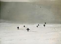 Norske skiløpere i utforkonkurranse i Tyskland