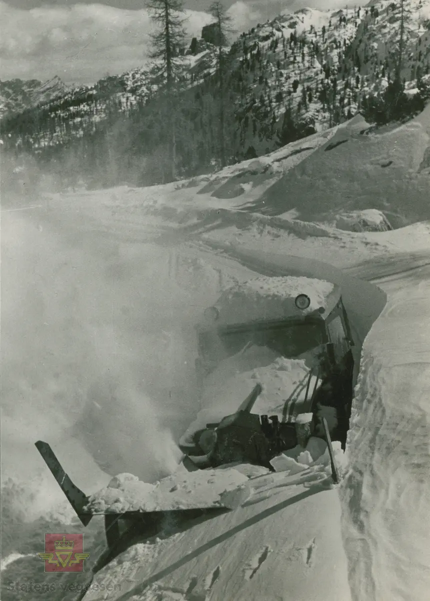Demonstrasjon av Willys Jeep med freseaggregat. Enkeltbilde i Colbjørnsens album som er merket Edizioni Fotografiche G.Ghedina-Cortina 1950-1954. Sannsynligvis er  bilde NVM 00-F-34404 fra samme tid og sted.