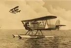 Flygplan Heinkel HD 19 med motor Bristol-Jupiter 420 PS på vatten. I bakgrunden ett annat flygplan av samma typ. Reproducerat foto.