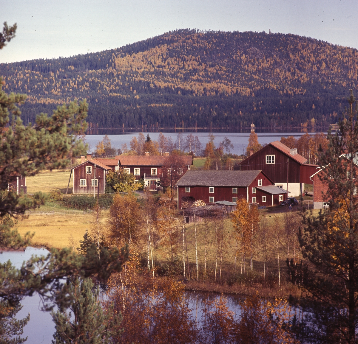 Gård i höstlandskap.