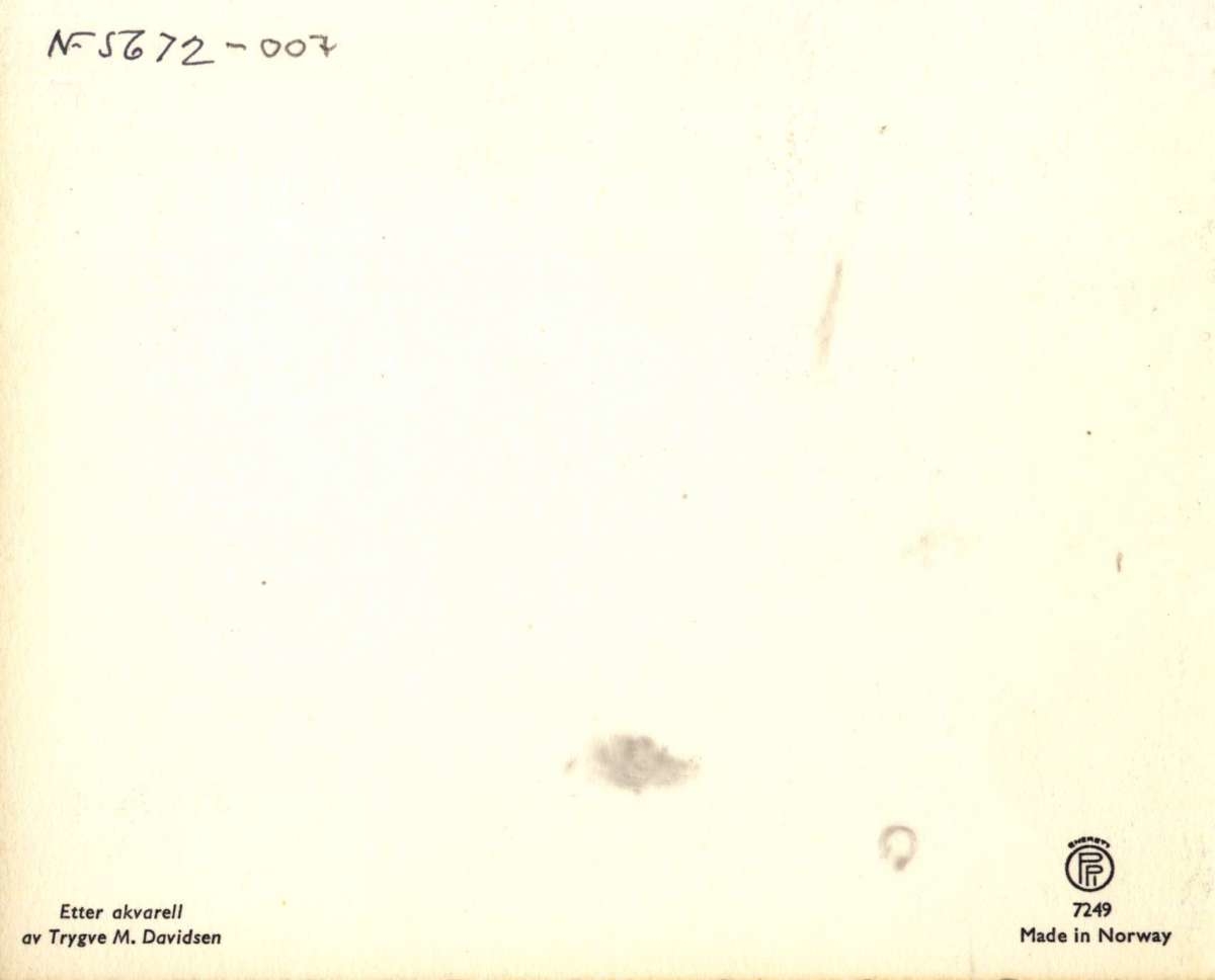 Postkort. Jule- og nyttårshilsen.  Vinterlandskap med fugler og røyskatt. Firmakort fra Brødrene Bell 1957. Etter akvarell av Trygve M. Davidsen. Udatert.