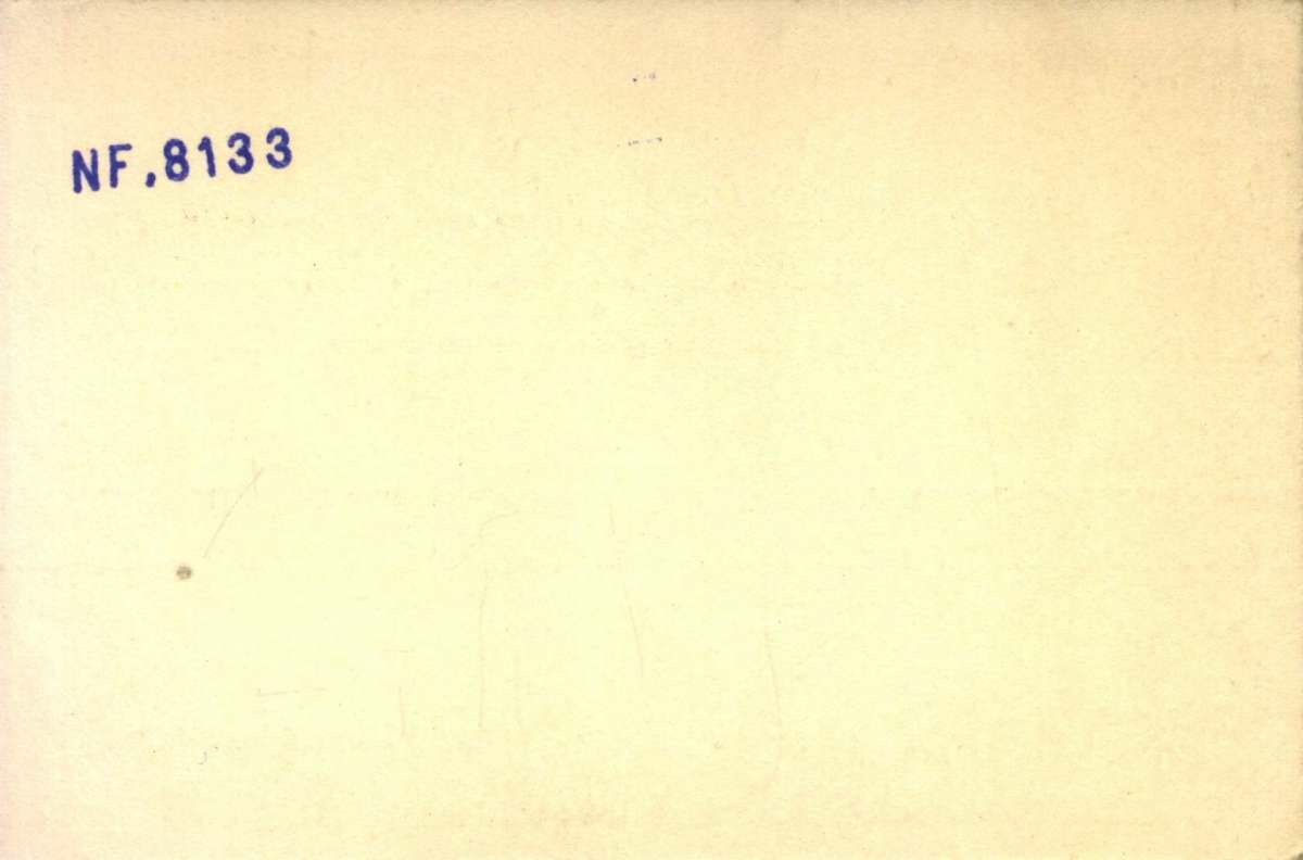 Julekort. Jule- og nyttårshilsen. Vintermotiv. Et skoglandskap med fugler i forgrunnen. Laget for S. J. Bennetter. Illustrert av Trygve M. Davidsen (1895-1978).