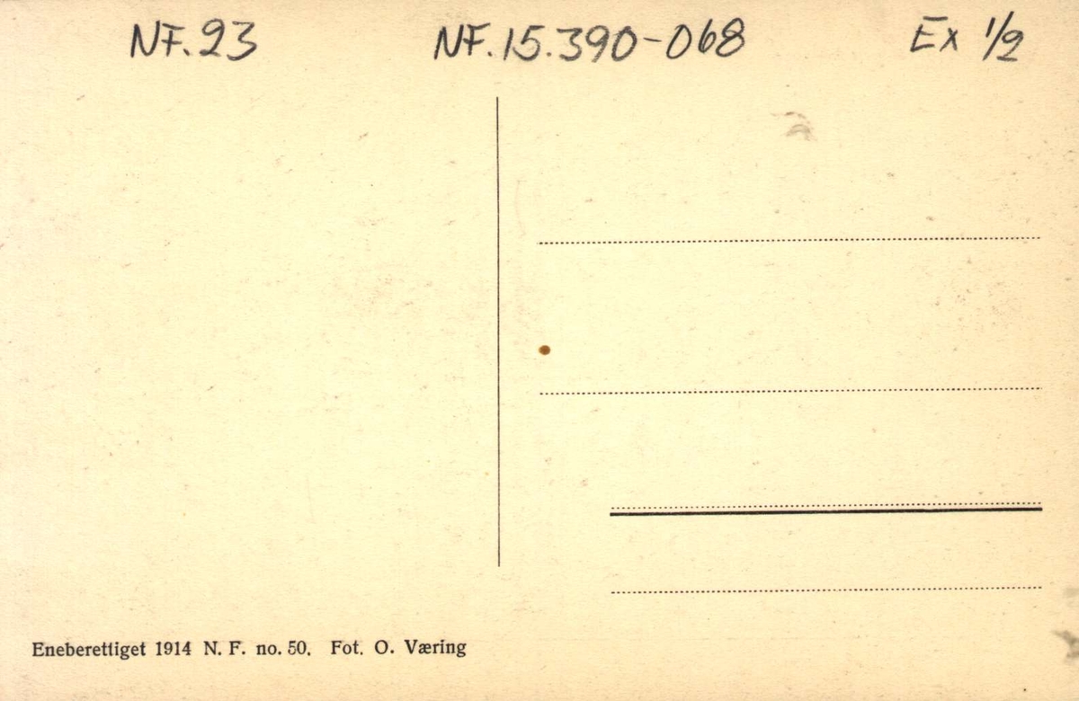 Postkort, Bygninger fra Numedal. Numedalstunet,NF.